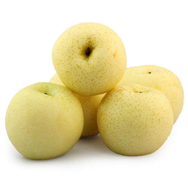 Wholesale Rock Sugar Fengshui Pear Fresh Seasonal Fruit Sweet Pear Fragrant Crispy Golden Pear