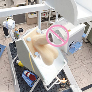 Medizinisches Fortgeschrittenes Männliches Organ-Modell Kondom-Trainingsmodell Lehrmittel für Studenten Penismodell - Product Image 4