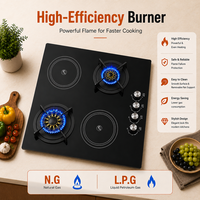 Table de cuisson hybride GPL et électrique avec 2 brûleurs et 2 plaques chauffantes électriques, surface en verre, pour usage domestique et en camping-car