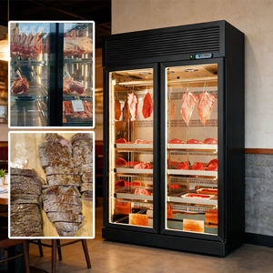 Armoire de maturation de viande de qualité commerciale à circulation d'air, hygiénique et efficace, pour boucheries mondiales - Product Image 2