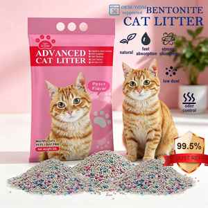 Litière pour chat Arena Para Gato 10L, Bentonite, vente en gros, usine Shenyang Eisen Pet - Product Image 1