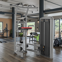 Machine professionnelle de musculation à charge guidée pour tractions et dips, idéale pour les exercices des bras – Prix de gros