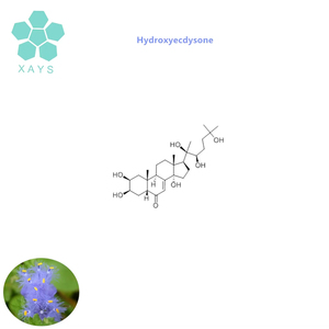 Chất lượng cao cyanotis arachnoidea chiết xuất từ rễ <span class=keywords><strong>Beta</strong></span> <span class=keywords><strong>ecdysone</strong></span> bột - Product Image 3