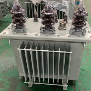 Transformador Sumergido en Aceite Confiable con Bajo Mantenimiento y Excelente Eficiencia Operativa para Servicio a Largo Plazo - Product Image 5