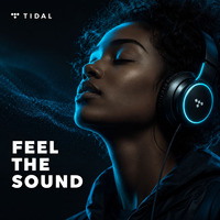 Abonnement Premium Tidal Music, 12 mois, Hifi Plus, Compte d'un an