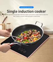 Bonne qualité Basse Tension Mini Ir Maison Utilisé Plaque à Induction Cuisinière à Induction