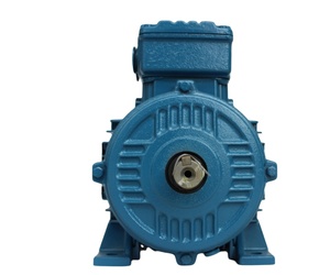 Moteur à induction WEG NEME d'origine B3 B5 30HP 40HP 50HP 60HP 75HP 100HP 125HP 175HP 60Hz triphasé - Product Image 3