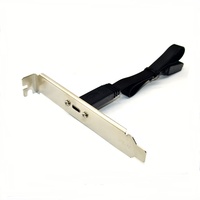 Cable de Expansión USB 3.1 de 50 cm para Panel Frontal, 2 Conectores Tipo-E Macho a 2 Conectores Tipo C Hembra para Placa Base de Computadora