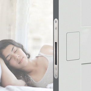 Push Background Pull Oculto Sin llave Muebles de metal Deslizante Oculto Largo Minimalista Pasaje Manijas Silencioso Secreto Cerradura de puerta - Product Image 2