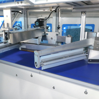 Machine d'emballage de comptage visuelle de fermoir de perle de chignon cuit à la vapeur en verre intelligent à grande vitesse