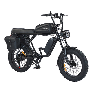 V20 En Stock Vélo Électrique le Plus Rapide 250W 750W 1000W Vélo Électrique 25km/h Fabricants de Vélos Électriques en Chine - Product Image 4
