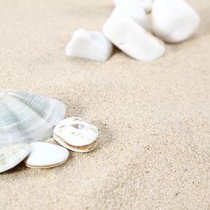 Filippijnse Zand, Shell Zand, Coral Zand - Product Image 4