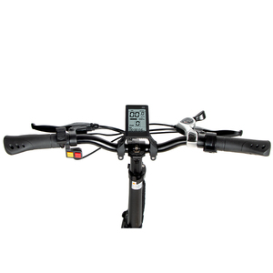Smart 20x4,0 Fat Bike Mountain <span class=keywords><strong>SAMEBIKE</strong></span> <span class=keywords><strong>XWLX09</strong></span> Mtb Mountain Down Batería 750W Ebike Fat Tire Bicicleta eléctrica Fat Tire - Product Image 5