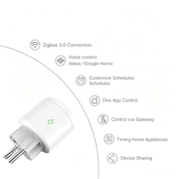 Enchufe Inteligente Zigbee OEM ODM EU 3.0 Tuya con Firmware Personalizado, Logotipo y Embalaje, Automatización con Alexa y Google Home