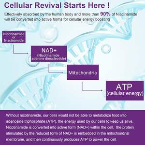 OEM NAD + Gommes à base de vitamine <span class=keywords><strong>B3</strong></span> sans sucre avec nicotinamide Resvératrol Suppléments à base de plantes pour tous les âges sauf les nouveau-nés - Product Image 3