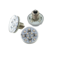 Luz LED de Punto Pixel para Parque de Atracciones, Bombilla LED para Carrusel E10 E14 AC24V AC60V, Luz Blanca Fría para Paisajismo