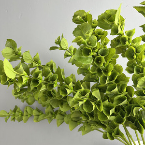 <span class=keywords><strong>Fleur</strong></span> artificielle <span class=keywords><strong>de</strong></span> haute qualité en forme <span class=keywords><strong>de</strong></span> cloche pour décoration florale et d'ambiance, fleurs <span class=keywords><strong>de</strong></span> mariage pour <span class=keywords><strong>bouquet</strong></span> <span class=keywords><strong>de</strong></span> mariée - Product Image 1