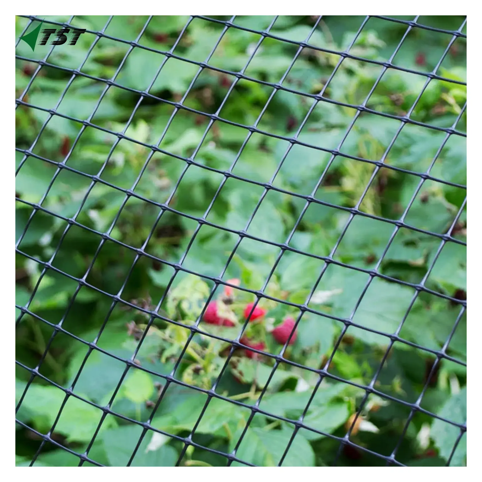 Hot Selling Colorful Animal Catching birds Nets 300D 100% HDPE Fish Net anti-bird nets with custom sizes and colors for UK