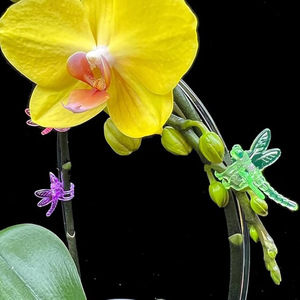Clips colorés pour orchidées, pinces libellules et papillons, supports fixes pour plantes grimpantes de jardin, clips décoratifs en plastique pour bonsaï - Product Image 2