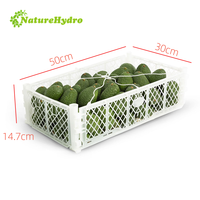 Caisse de fruits, d'avocats et de légumes, pliable, emboîtable, pour l'emballage, le stockage et l'expédition, pour les agriculteurs