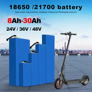 उच्च गुणवत्ता वाले इलेक्ट्रिक स्कूटर पार्ट्स इलेक्ट्रिक मोटरसाइकिल इलेक्ट्रिक मोपेड रिमूवेबल 48v 30ah 40 आह इलेक्ट्रिक स्कूटर लिथियम बैटरी