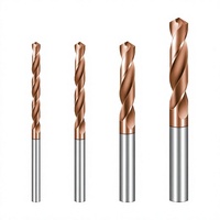 Jeu de 4 forets avec revêtement en titane-silicium-nitride (TiSiN) adapté à l'utilisation avec les perceuses à carbure de tungstène