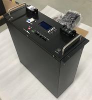 Batterie LiFePO4 24V 48V 51.2V 100Ah 300Ah pour stockage solaire mural/à rack avec BMS CAN/RS485 pour onduleur
