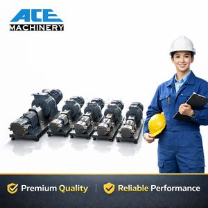 Factory Sale Stainless Steel Flow Rate 1000L/H Apple Pulp Lobe Transfer Pump - Product Image 4