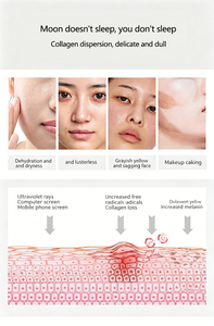 เครื่องดูแลผิวแบบฟองออกซิเจน 10-in-1 พร้อมหัววัดหลายแบบ ฟังก์ชั่นทำความสะอาดรูขุมขนและกระตุ้นคอลลาเจนเพื่อการฟื้นฟูผิวหน้า - Product Image 6
