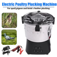 Machine Épileuse Portable 12V Mini pour Plumes de Caille et Volailles