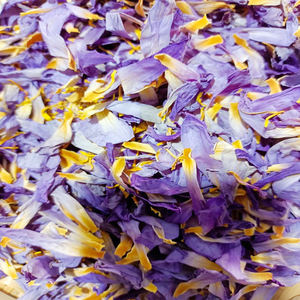 ราคาถูกเกรดชาอียิปต์สีฟ้าบัวแห้งสีฟ้าดอก<span class=keywords><strong>บัว</strong></span>ดอกไม้กลีบดอก - Product Image 2