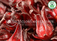 Extrait de Roselle Complément Alimentaire Naturel à Base de Plantes pour le Soutien Antioxydant Santé Cardiovasculaire Immunité Bien-être et Nutrition Quotidienne