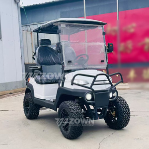 Carrito de Golf Eléctrico Rosa de Lujo 2026, 2/4 Asientos, Color y Logotipo Personalizables, Certificado CE, para Club de Golf y Uso Personal - Product Image 5