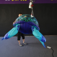 Modèle de tortue marine gonflable géante et mignonne pour publicité d'événements extérieurs personnalisés, ballon animal marin tortue