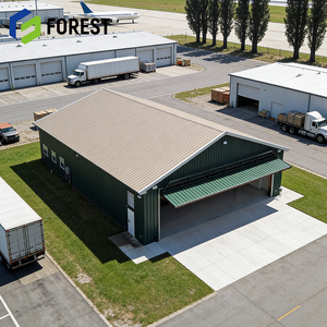 Hangar d'avion en structure acier industrielle haute résistance, isolé, pour la logistique aérienne, directement de l'usine - Product Image 1