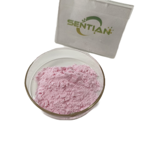 Vente en gros de poudre de prune verte de qualité alimentaire 100% naturelle en vrac disponible en bouteille ou en fût - Product Image 5