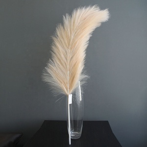 Lớn chùm lông đà điểu trắng kem màu đen giả đà điểu lông nhân tạo pampas cỏ cho tiệc cưới trang trí nhà - Product Image 2