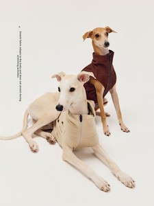 Winter Leisure High Collar Elastic Zipper Solid Vest <strong>Dog</strong> Yoga <strong>Clothes</strong> Small Greyhound <strong>Sausage</strong> Fox Terrier Warmth Spandex Acrylic - Product Image 3