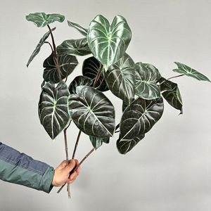 Planta Artificial de Escamas de Dragón Meng Jie, 30cm-100cm, Plástico, Decoración Interior, Vegetación Artificial - Product Image 4