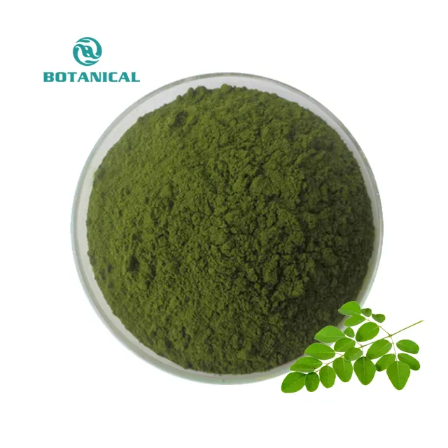B.C.I Reiner Bio-Export von Moringa-Blättern Moringa-Blattpulver-Extrakt