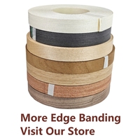 Placage de bois de bouleau naturel écologique, bande de chantournage de 0,4 à 3 mm d'épaisseur, de 9 à 50 mm de largeur pour meubles, armoires, portes, fenêtres, bricolage en bois