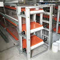 Bande transporteuse en PVC résistant aux hautes températures pour l'évacuation automatique du fumier de volaille (poulet, canard, oie, caille, dinde)