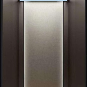 Ascenseur résidentiel moderne à 3 étages, à entraînement AC sans engrenages, pour villa et centre commercial, ascenseur domestique économique, vente chaude - Product Image 6