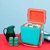 Glacière rigide 10L en cuir avec bandoulière tressée – Garde au frais pour boissons, vin, canettes et fruits