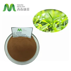 High Quality Wholesale Herbal Powder Green Tea Extract Polyphenols