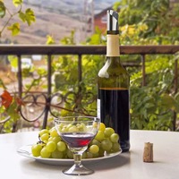 Portable En Aluminium Bec Verseur Disque Réutilisable Goutte À Goutte Stop Feuille Disque De Vin Personnalisé En Gros Pet Vin Verser Tranche Disque D'impression