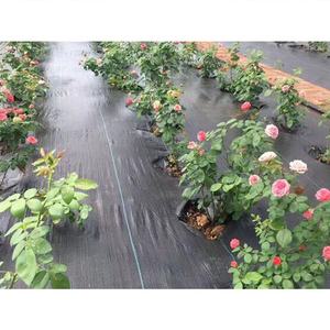 Film de <span class=keywords><strong>paillage</strong></span> <span class=keywords><strong>pour</strong></span> l'agriculture en serre, perméable à l'eau, <span class=keywords><strong>pour</strong></span> les légumes et les cultures - Product Image 3