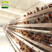 GREAT FARM Offre Spéciale : Poulaillers en Acier et Bâtiments d'Élevage pour Cages Automatiques de Poules Pondeuses et en Batterie, Neufs et d'Occasion