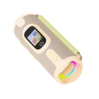 Haut-parleur portable 20W V5.3 avec basses puissantes, rechargeable par Type C, en plastique, pour utilisation en extérieur lors de fêtes