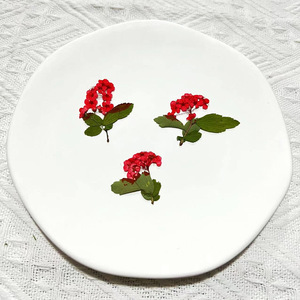 Naturale dry press <span class=keywords><strong>fiore</strong></span> <span class=keywords><strong>narciso</strong></span> candela fare torte decorazioni fiori secchi pressati per resina - Product Image 3